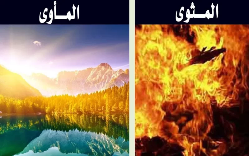 الفرق بين المثوى والمأوى الإسلام سؤال وجواب