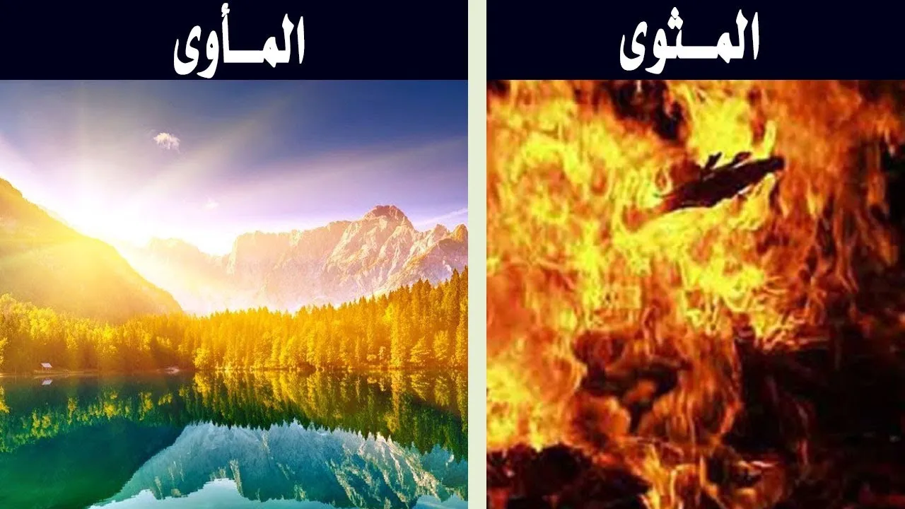 الفرق بين المثوى والمأوى